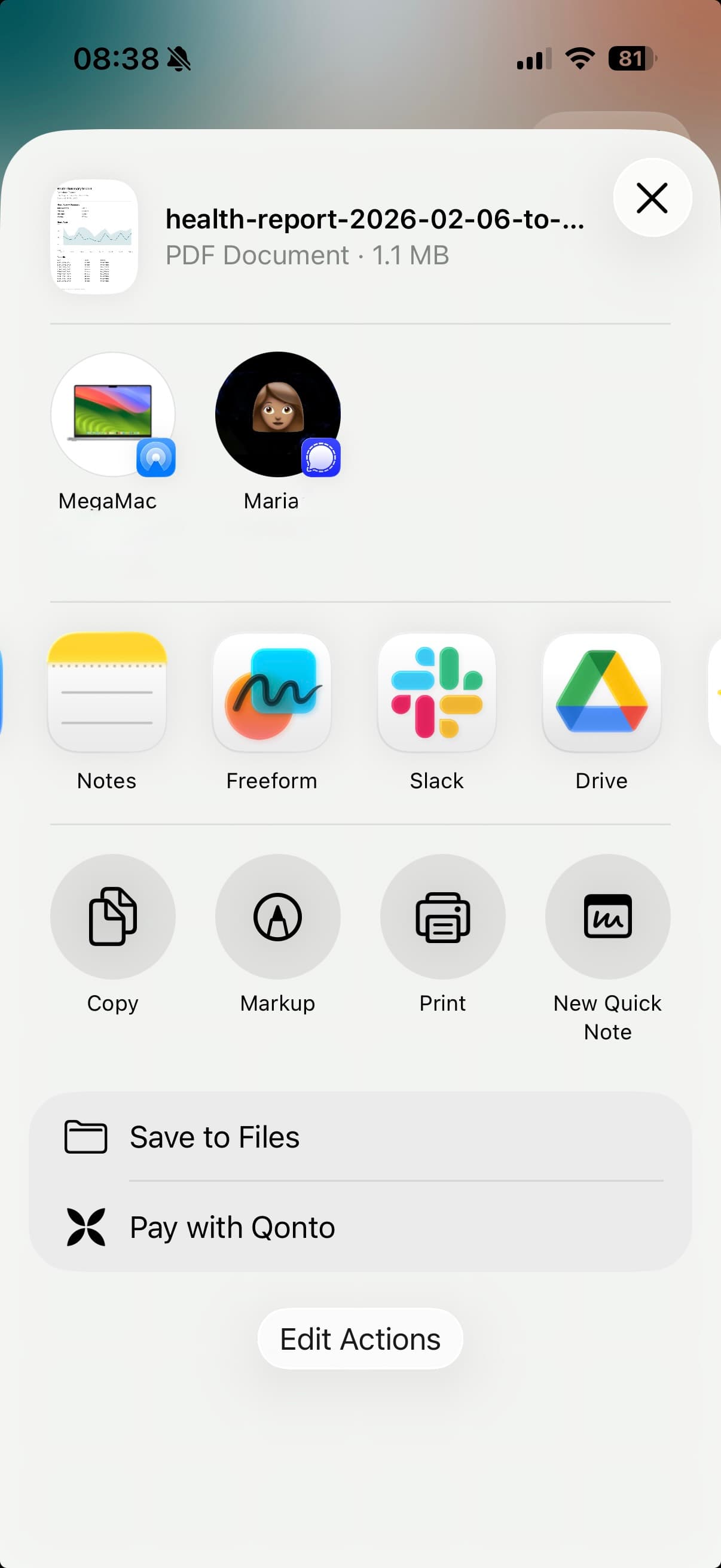vitalina app — Export & share