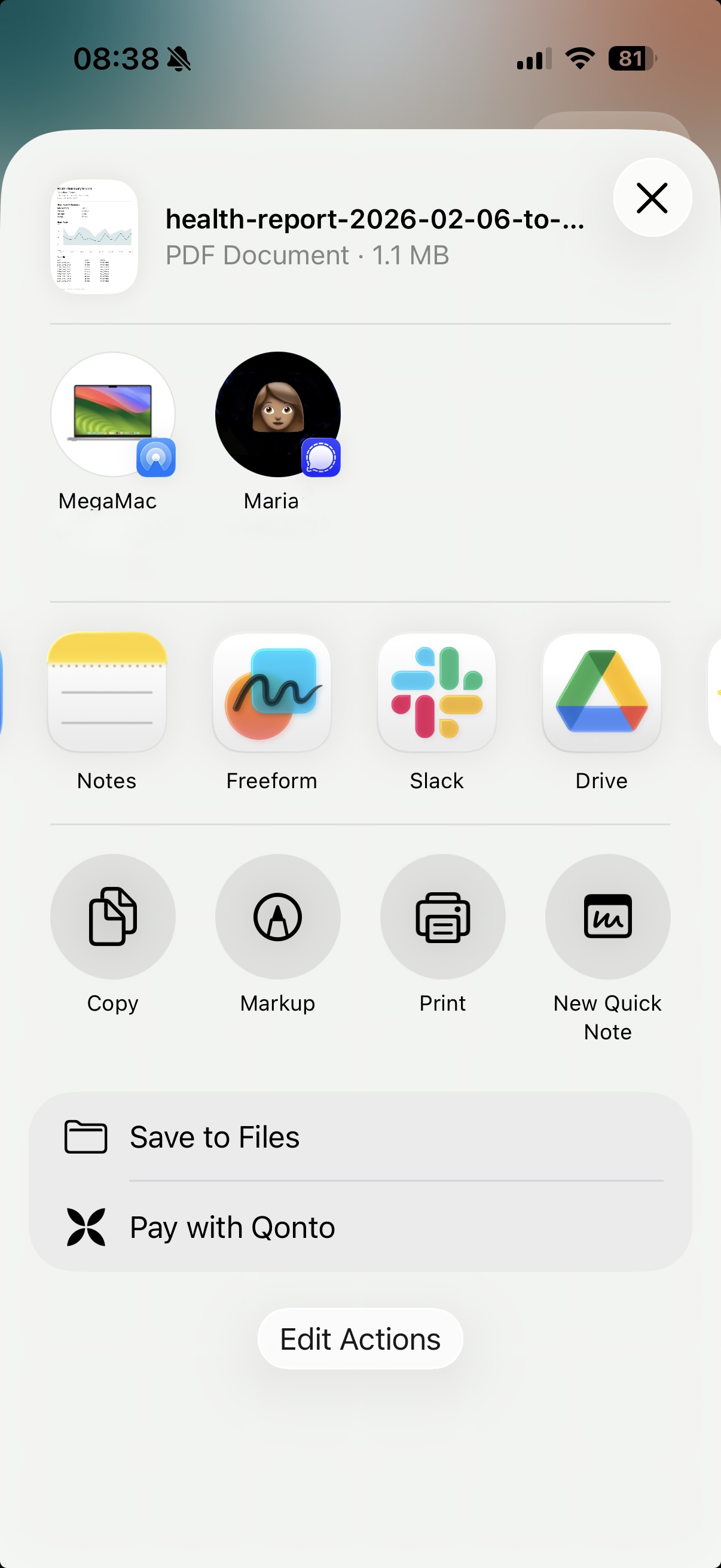 vitalina app — Export & share